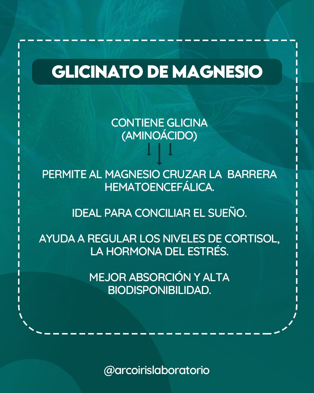 SaveClip.App_487784870_588861514194526_6221650963312636196_n